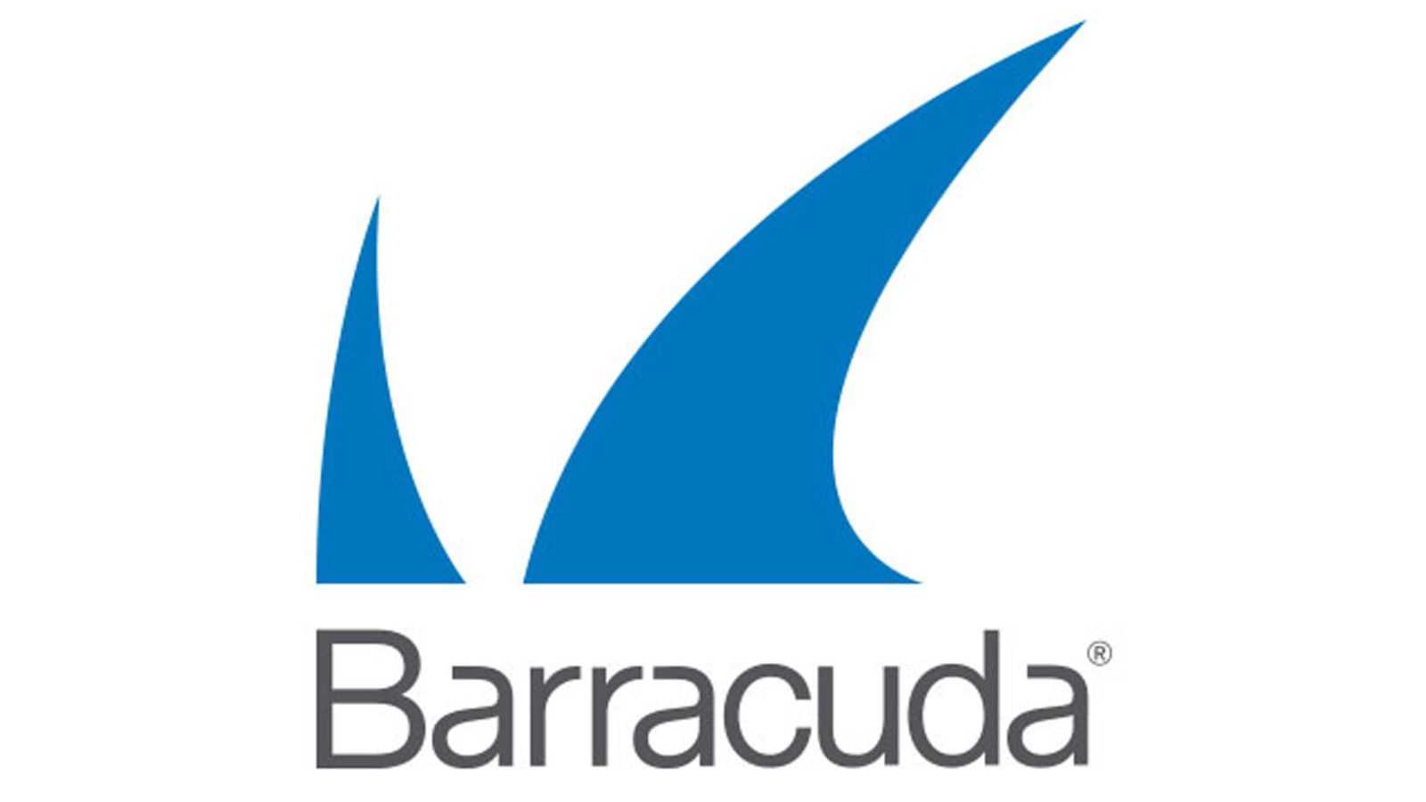 barracuda logo main